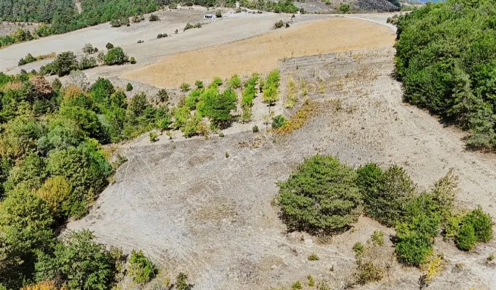 GEYVE AHİBABA'DA 4437 m² RESMİ YOLA CEPHELİ YATIRIMLIK ARAZİ