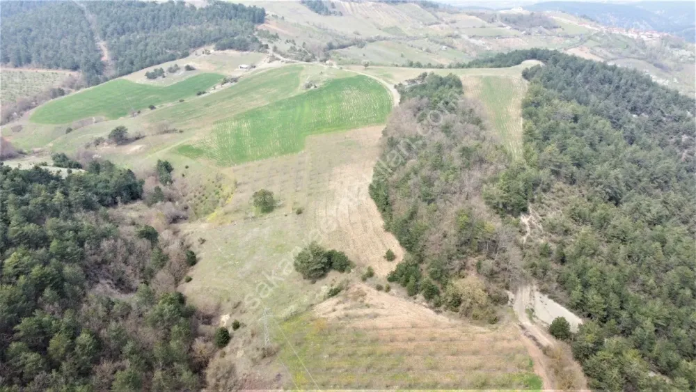 GEYVE AHİBABA'DA 4437 m² RESMİ YOLA CEPHELİ YATIRIMLIK ARAZİ