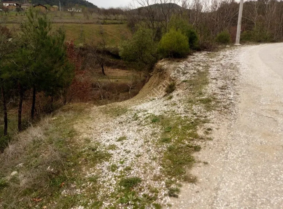 GEYVE ÇAMLIK KÖYÜNDE TAM YATIRIMLIK YOLA CEPHE 1056 m² FIRSAT HOBİ BAHÇESİ