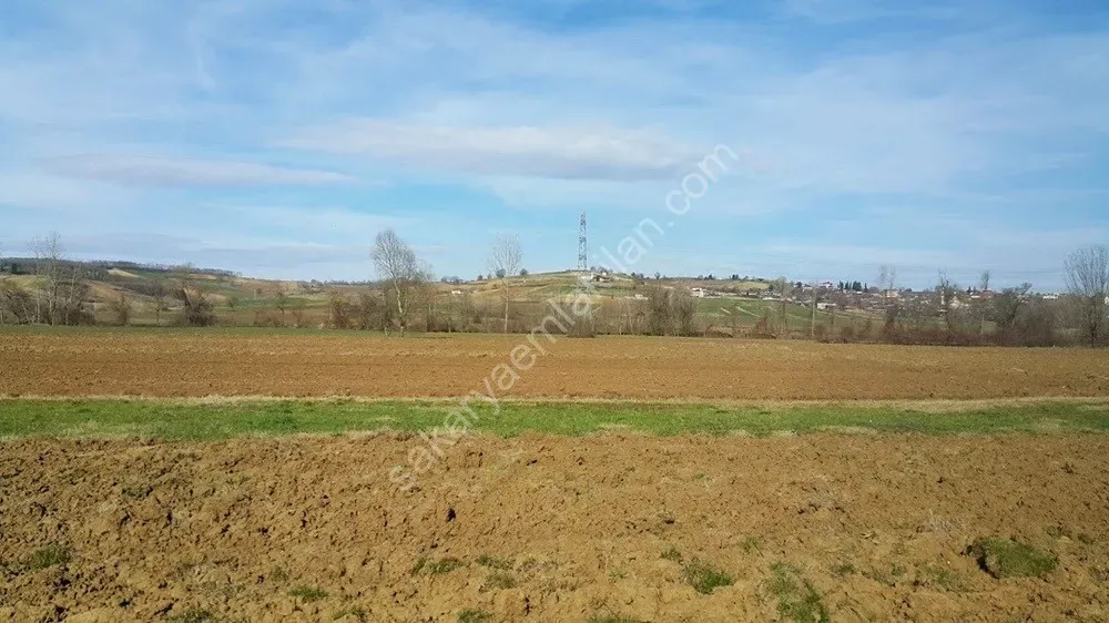 ADAPAZARI ÖRENTEPE MAHALLESİNDE SATILIK 891 M2 TARLA