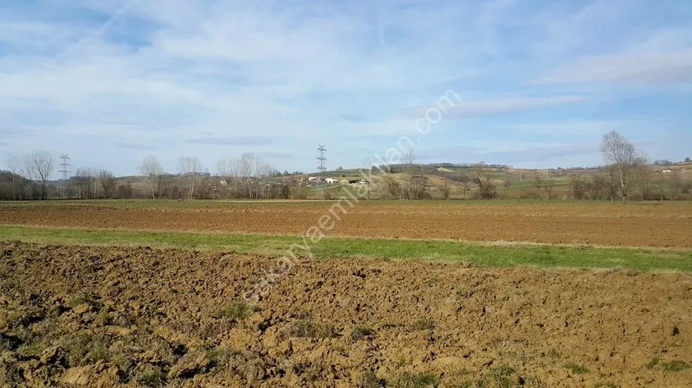 ADAPAZARI ÖRENTEPE MAHALLESİNDE SATILIK 891 M2 TARLA