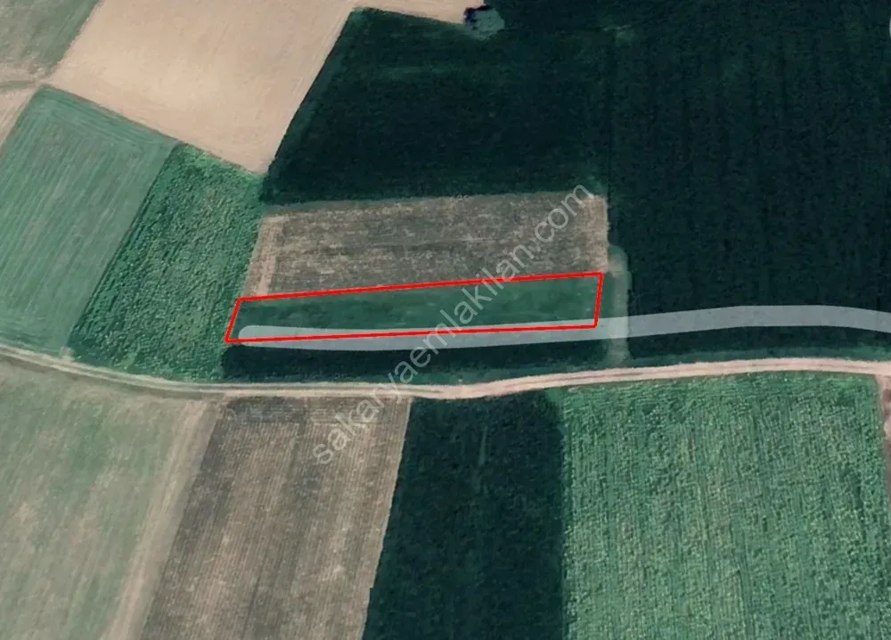 ADAPAZARI ÖRENTEPE MAHALLESİNDE SATILIK 891 M2 TARLA