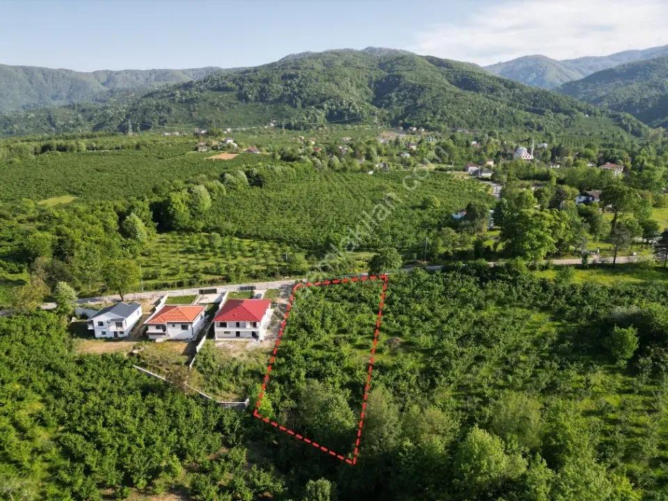 AYDIN EMLAK'TAN SATILIK İMARLI 1.296 m2 ARSA BIÇKIDERE / AKYAZI