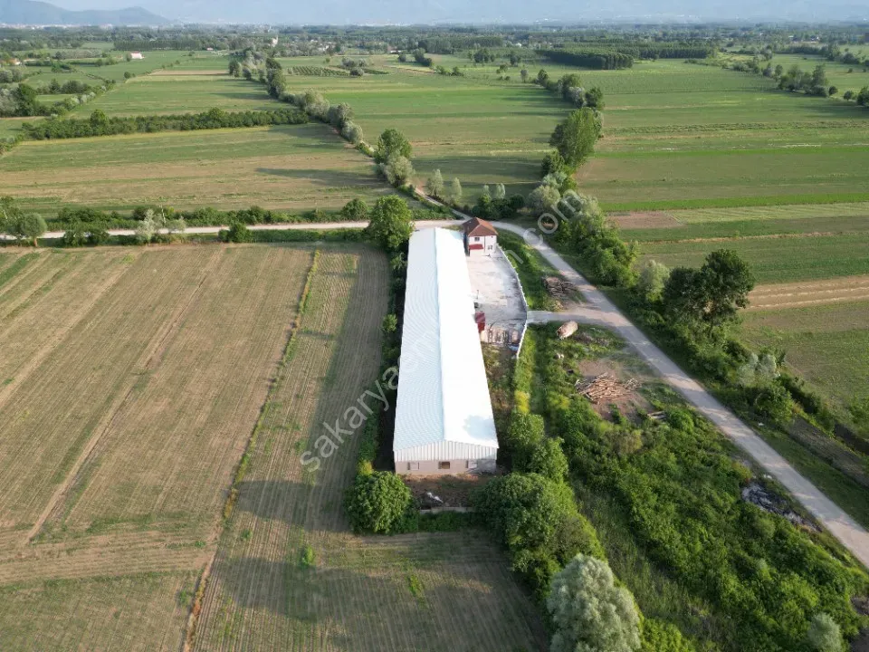 ESKİBEDİL / AKYAZI ÜRETİM TESİSİ KİRALIK 1.600 m2 ÇEVRE YOLUNA 800mt MESAFEDE