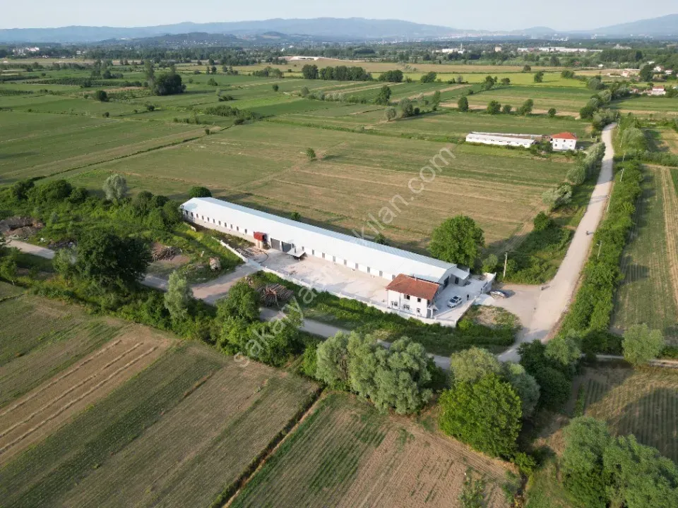 ESKİBEDİL / AKYAZI ÜRETİM TESİSİ KİRALIK 1.600 m2 ÇEVRE YOLUNA 800mt MESAFEDE