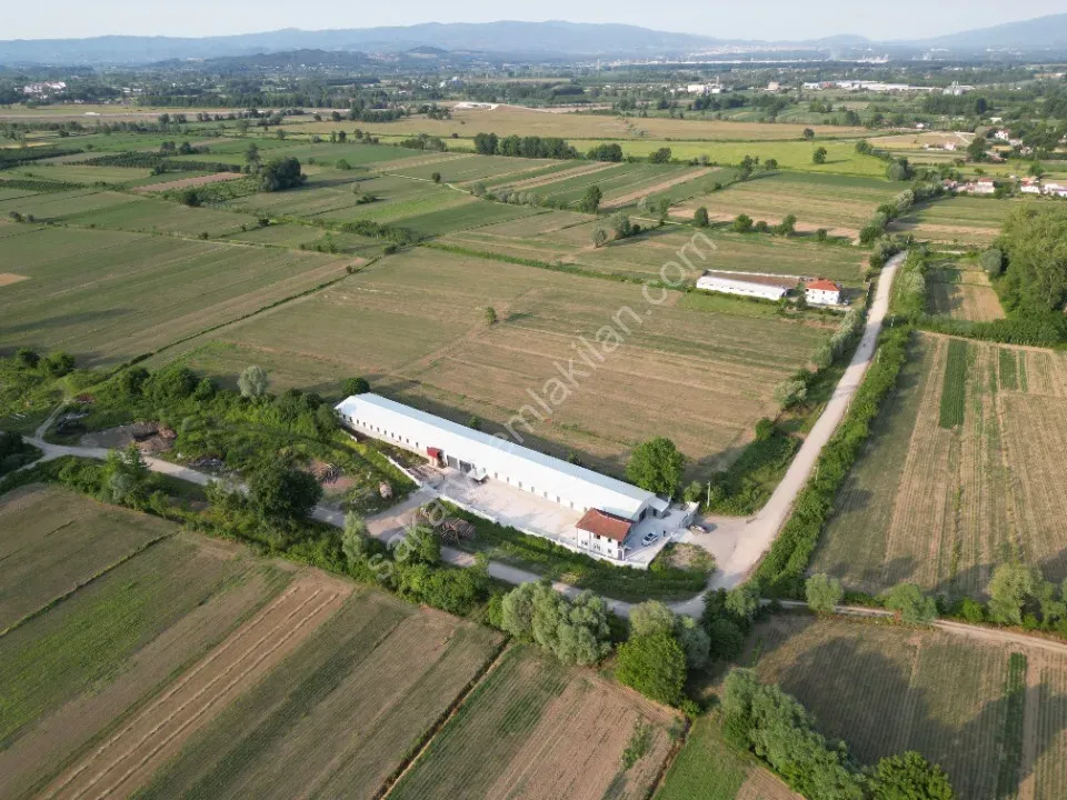 ESKİBEDİL / AKYAZI ÜRETİM TESİSİ KİRALIK 1.600 m2 ÇEVRE YOLUNA 800mt MESAFEDE