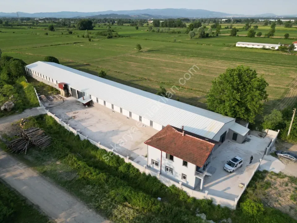 ESKİBEDİL / AKYAZI ÜRETİM TESİSİ KİRALIK 1.600 m2 ÇEVRE YOLUNA 800mt MESAFEDE