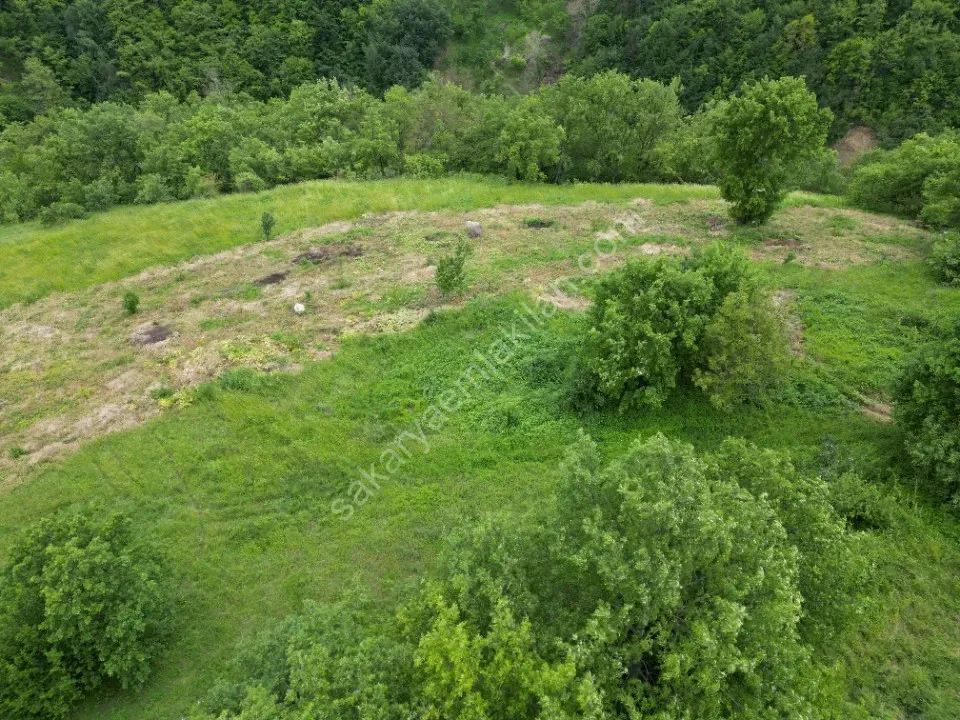 SÜLÜKLÜGÖL YOLUNDA 5.930 m2 TARLA SATILIK DOKURCUN / MUDURNU / BOLU