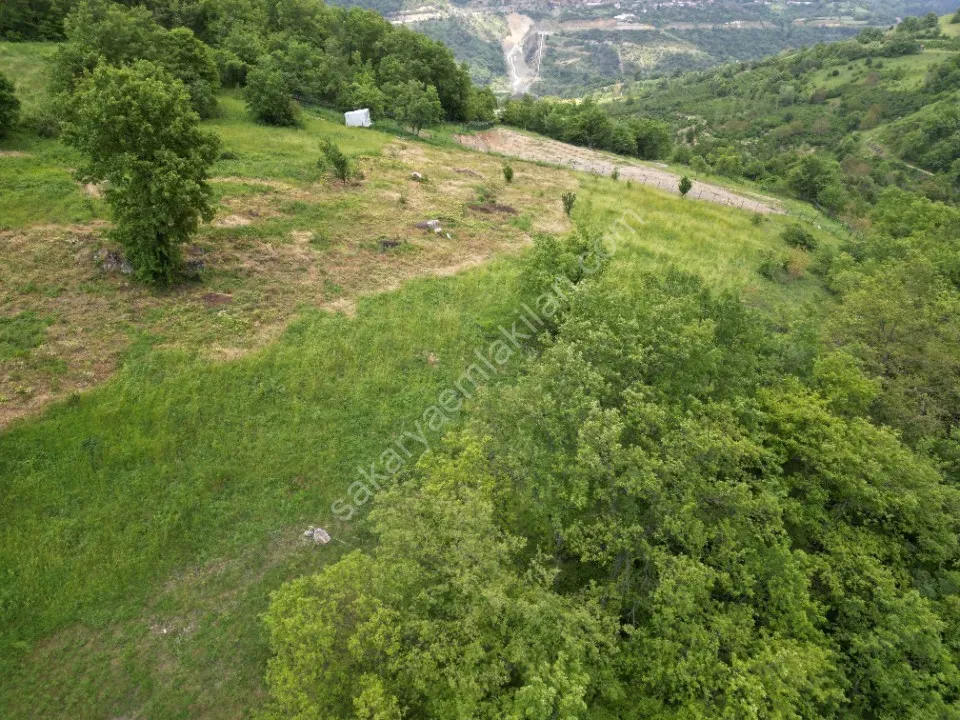 SÜLÜKLÜGÖL YOLUNDA 5.930 m2 TARLA SATILIK DOKURCUN / MUDURNU / BOLU