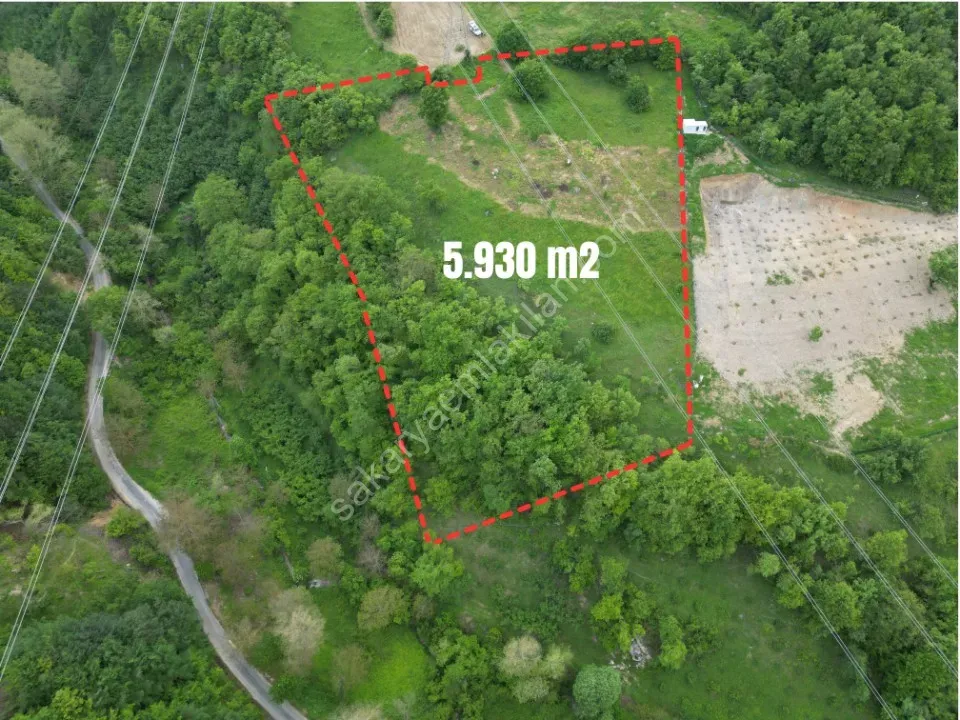 SÜLÜKLÜGÖL YOLUNDA 5.930 m2 TARLA SATILIK DOKURCUN / MUDURNU / BOLU