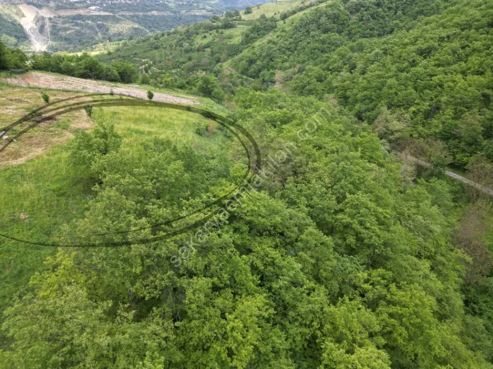 SÜLÜKLÜGÖL YOLUNDA 5.930 m2 TARLA SATILIK DOKURCUN / MUDURNU / BOLU