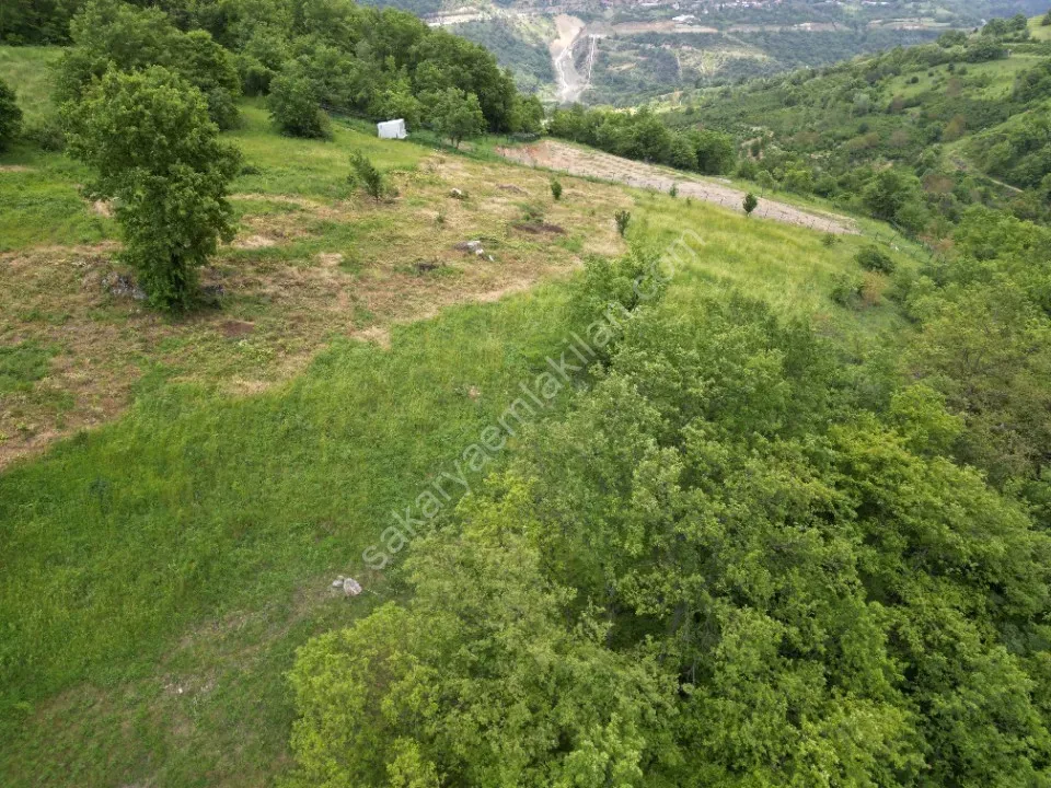 SÜLÜKLÜGÖL YOLUNDA 5.930 m2 TARLA SATILIK DOKURCUN / MUDURNU / BOLU