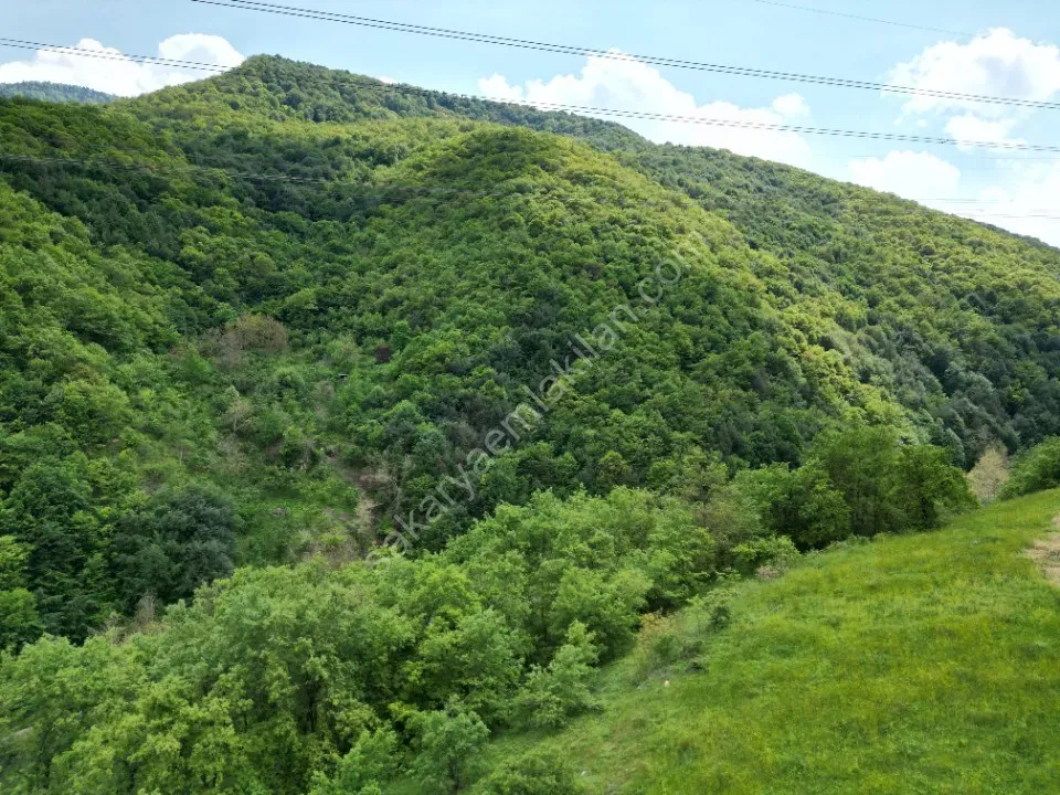 SÜLÜKLÜGÖL YOLUNDA 5.930 m2 TARLA SATILIK DOKURCUN / MUDURNU / BOLU