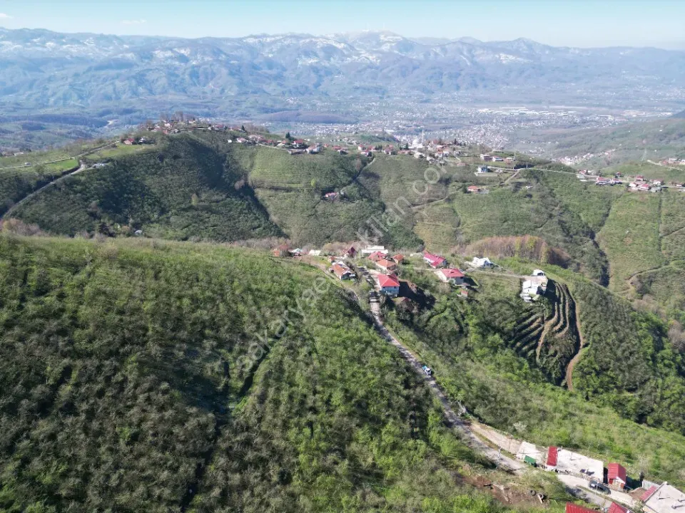 AKYAZI / M.YENİKÖY'DE SATILIK BAHÇE 2.518 m2