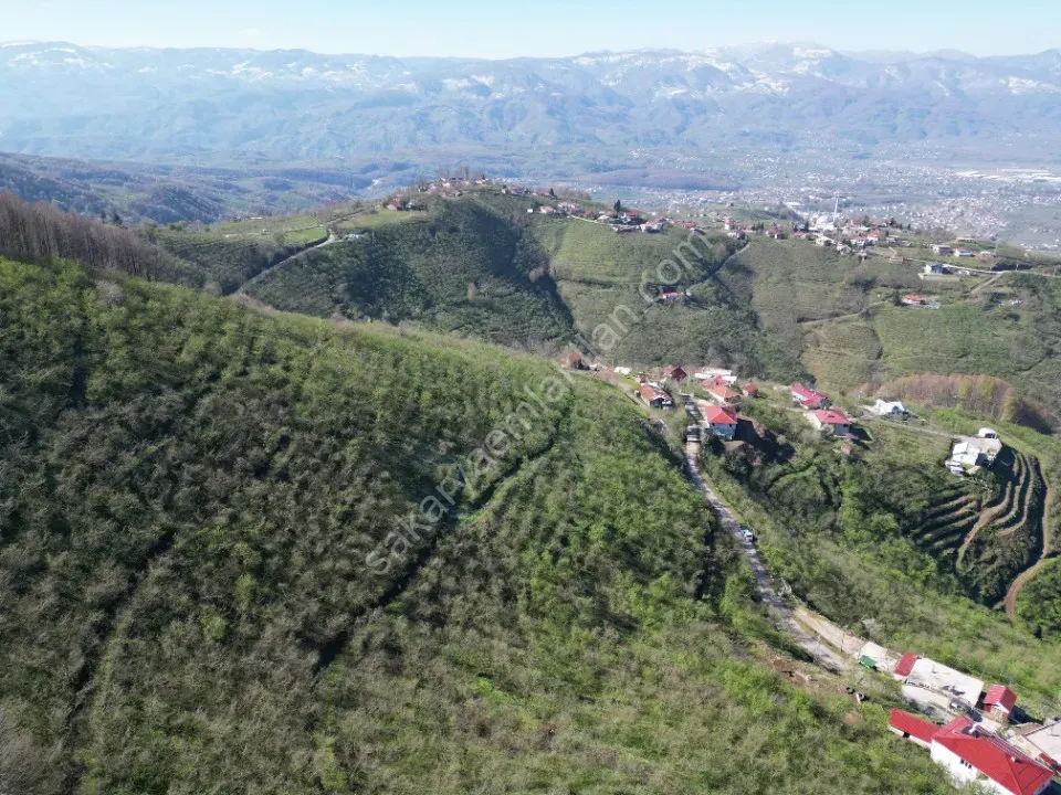 AKYAZI / M.YENİKÖY'DE SATILIK BAHÇE 2.518 m2