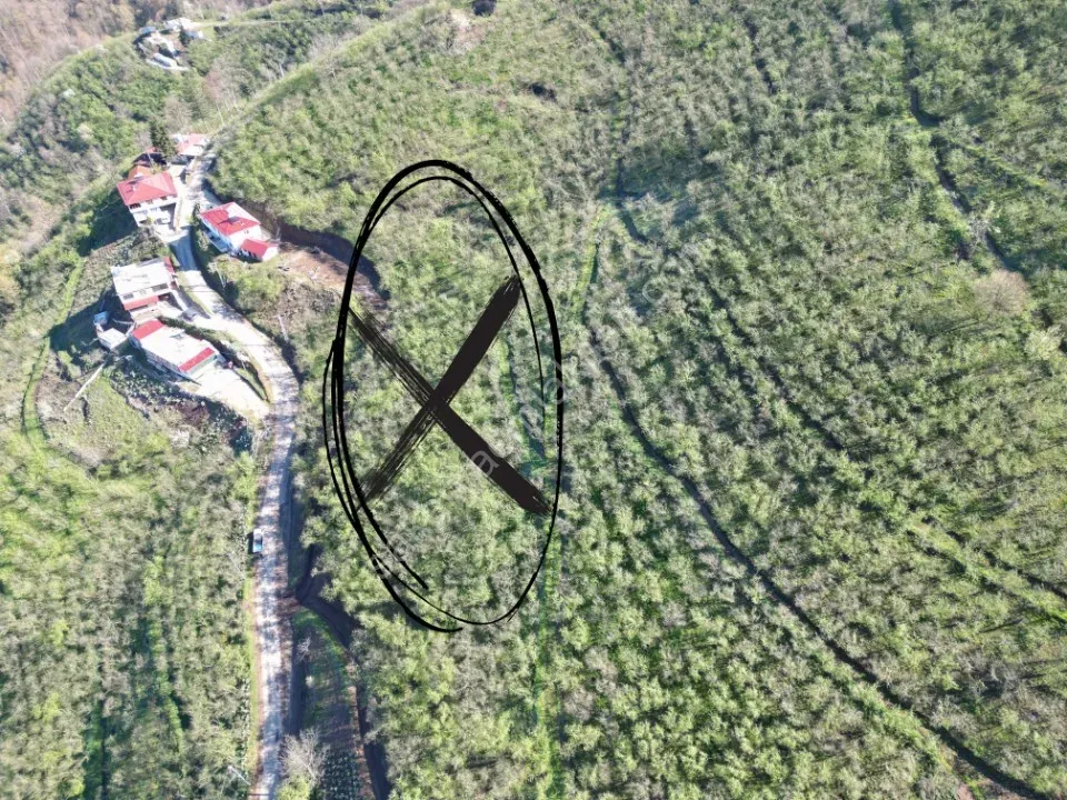 AKYAZI / M.YENİKÖY'DE SATILIK BAHÇE 2.518 m2