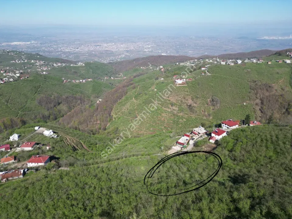 AKYAZI / M.YENİKÖY'DE SATILIK BAHÇE 2.518 m2