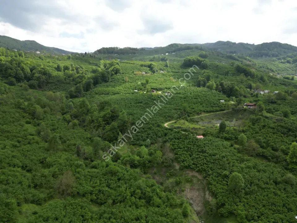 BALLIKAYA BARAJ MANZARALI SATILIK FINDIK BAHÇESİ KONUT İMARLI