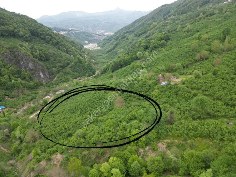 BALLIKAYA BARAJ MANZARALI SATILIK FINDIK BAHÇESİ KONUT İMARLI