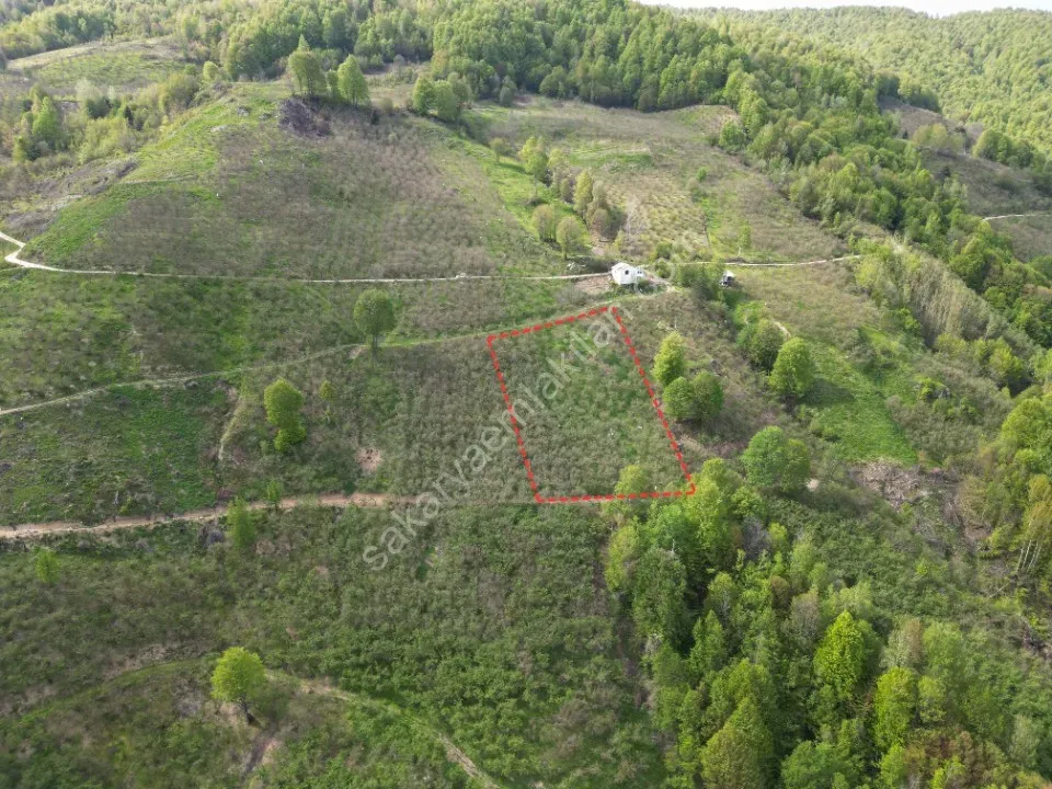 TAŞYATAK MAH. AKYAZI'DA SATILIK FINDIK BAHÇESİ 2.075 m2