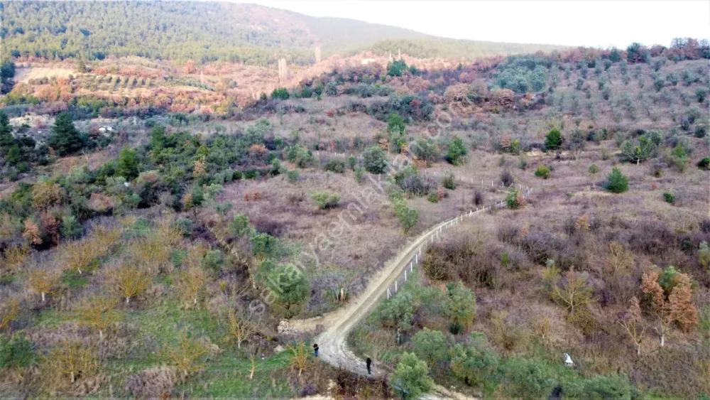 GEYVE KÖPRÜBAŞI OKUL MAH. KONTEYNER İÇİN İDEAL 730 m² MANZARALI RESMİ YOLA CEPHELİ