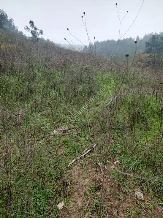 GEYVE KÖPRÜBAŞI OKUL MAH. KONTEYNER İÇİN İDEAL 730 m² MANZARALI RESMİ YOLA CEPHELİ