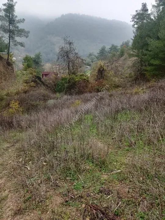 GEYVE KÖPRÜBAŞI OKUL MAH. KONTEYNER İÇİN İDEAL 730 m² MANZARALI RESMİ YOLA CEPHELİ