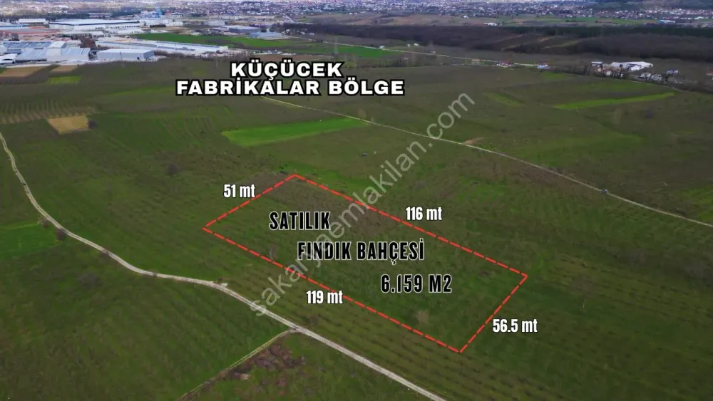 KÜÇÜCEK İSTİKLAL'DE 6.159 m2 FINDIK BAHÇESİ SATILIK