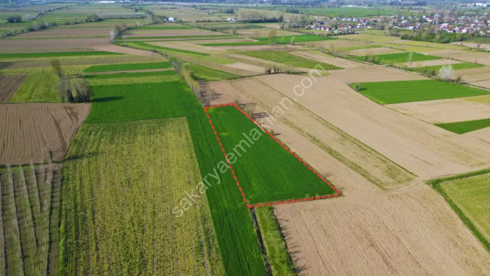 UZUNÇINAR'DA SATILIK 5.152 m2 YATIRIMLIK TARLA