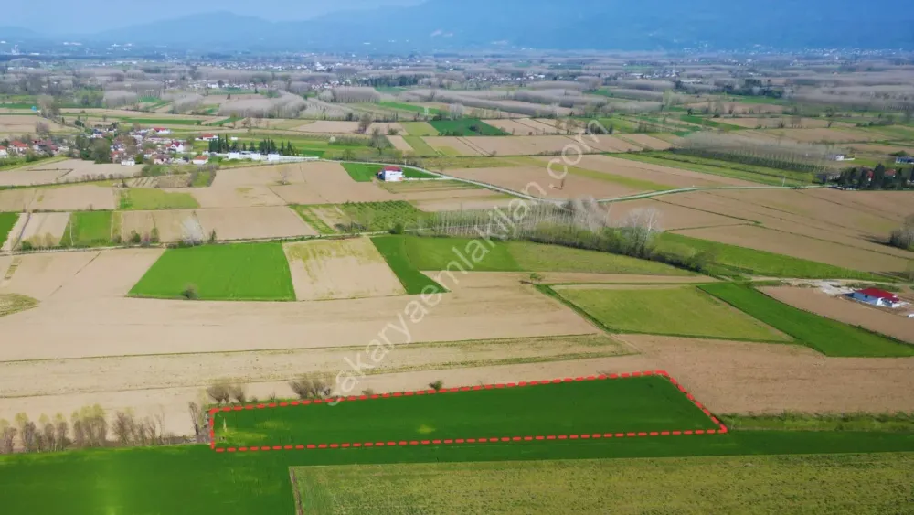 UZUNÇINAR'DA SATILIK 5.152 m2 YATIRIMLIK TARLA