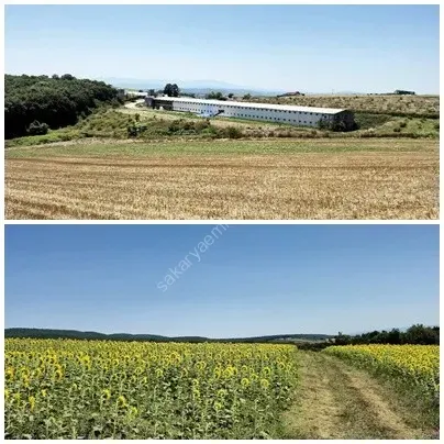 SAKARYA ADAPAZARI KARADERE MAHALLESİNDE SATILIK 2 PARSEL TARLA