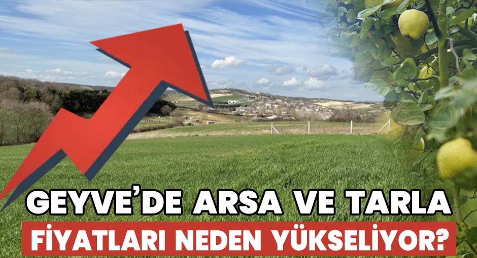 Geyve’de Arsa ve Tarla Fiyatları Neden Yükseliyor