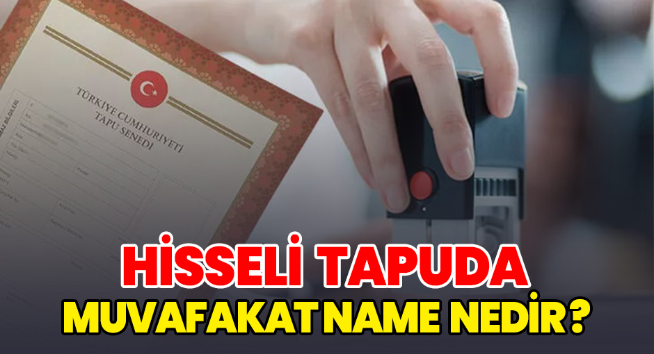 Hisseli Tapuda Muvafakatname Nedir?