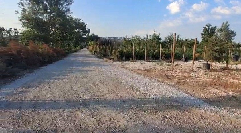 Fidan ve Süs Bitkisi Üretimine Uygun Tarla