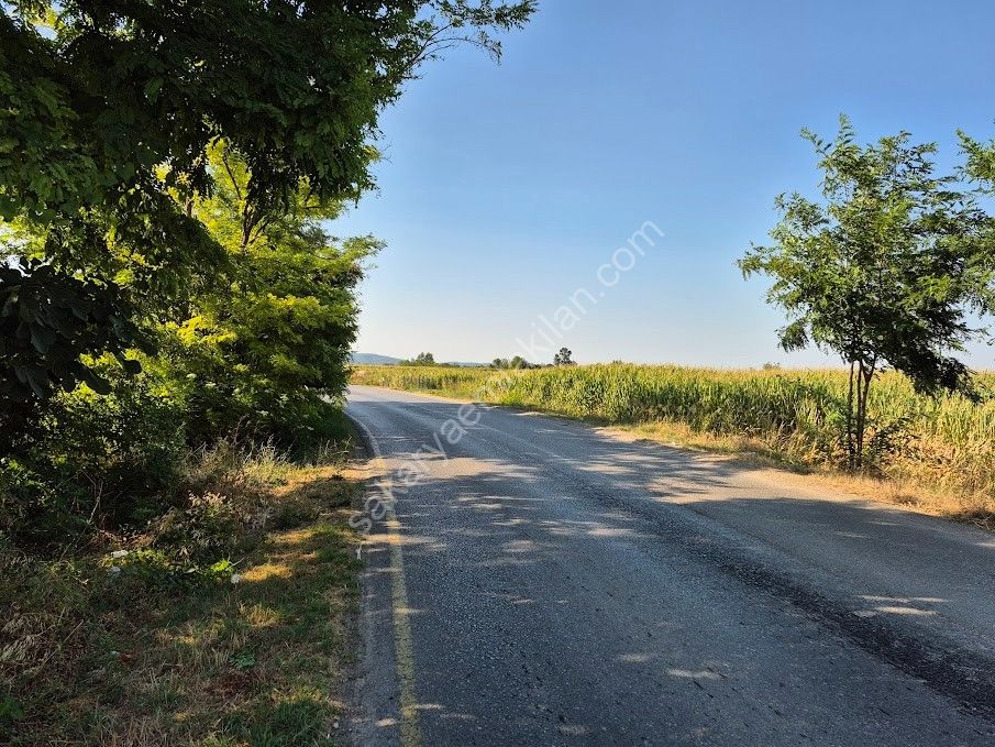 ADAPAZARI ÇÖKEKLER MAHALLESİNDE SATILIK TARLA