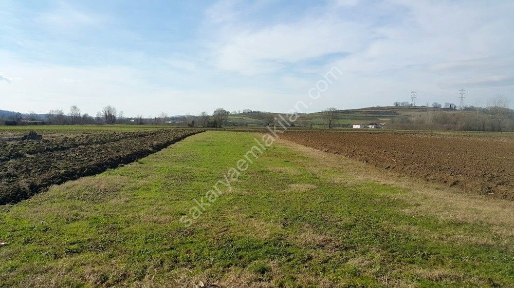 ADAPAZARI ÖRENTEPE MAHALLESİNDE SATILIK 891 M2 TARLA