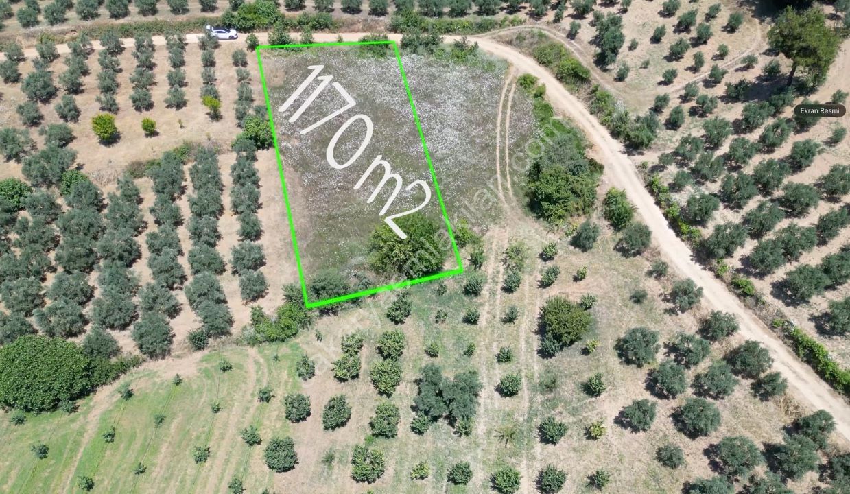Geyve Doğan Tepede 1170 m2 Hobi Bahçesi